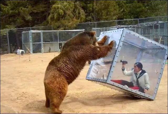 Bildschirmarbeiter - Picdump 24.07.2015