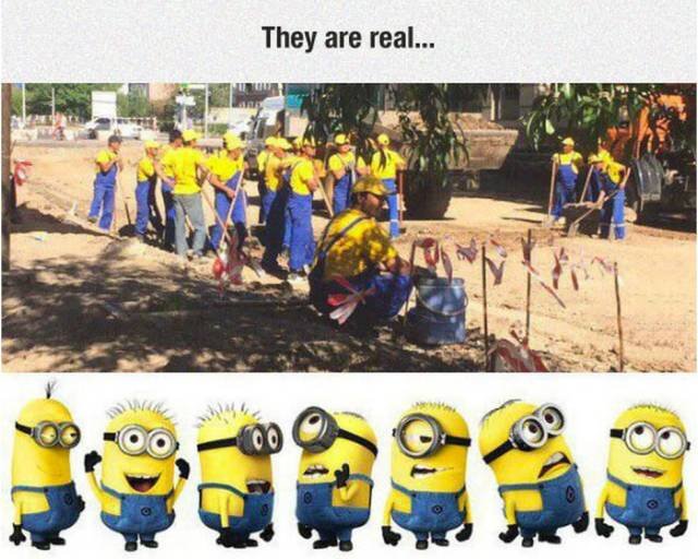 Bildschirmarbeiter - Picdump 24.07.2015