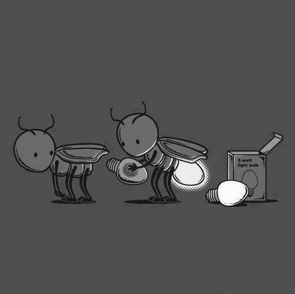 Bildschirmarbeiter - Picdump 24.07.2015