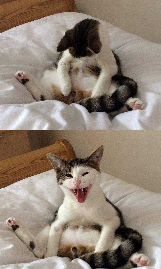 Bildschirmarbeiter - Picdump 24.07.2015