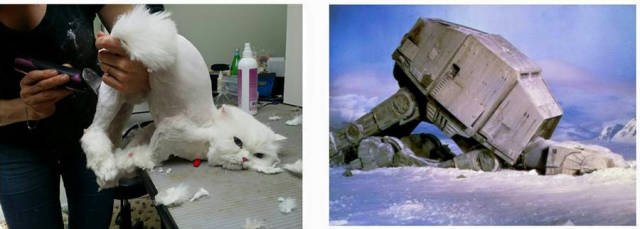 Bildschirmarbeiter - Picdump 24.07.2015