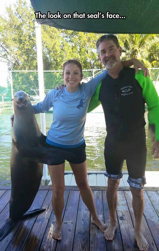 Bildschirmarbeiter - Picdump 24.07.2015