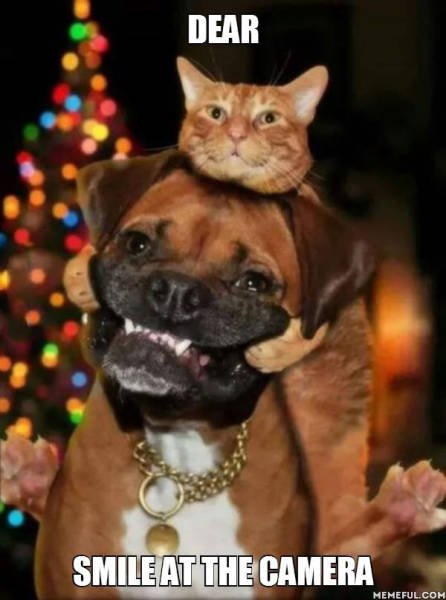 Bildschirmarbeiter - Picdump 24.07.2015