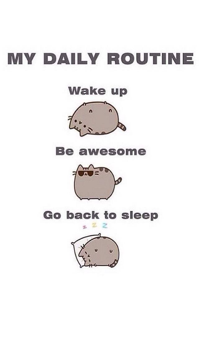 Bildschirmarbeiter - Picdump 24.07.2015