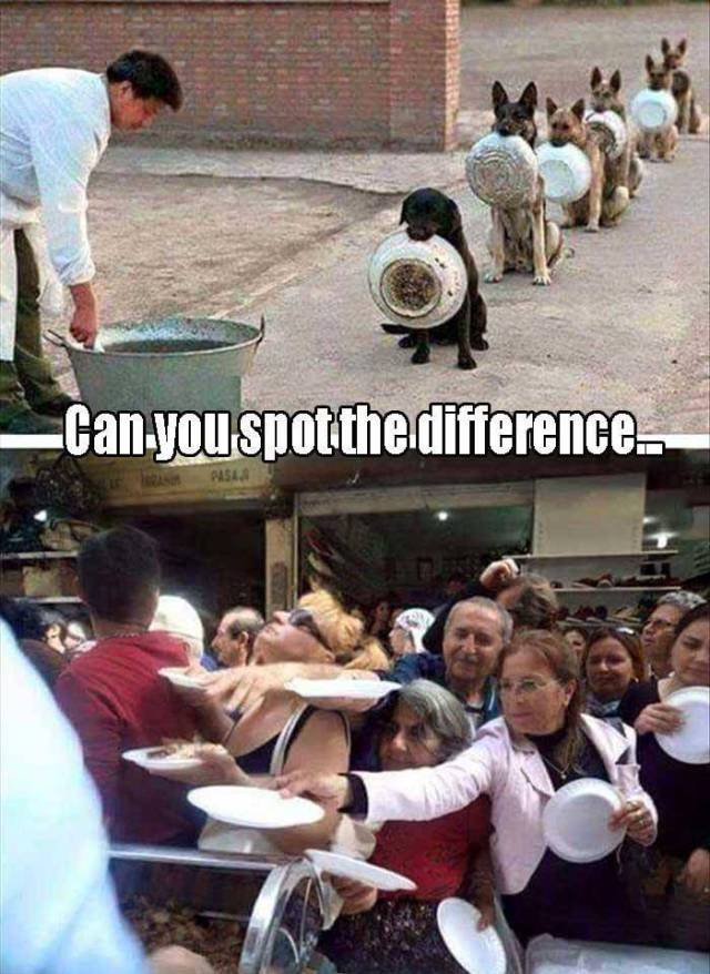 Bildschirmarbeiter - Picdump 24.07.2015