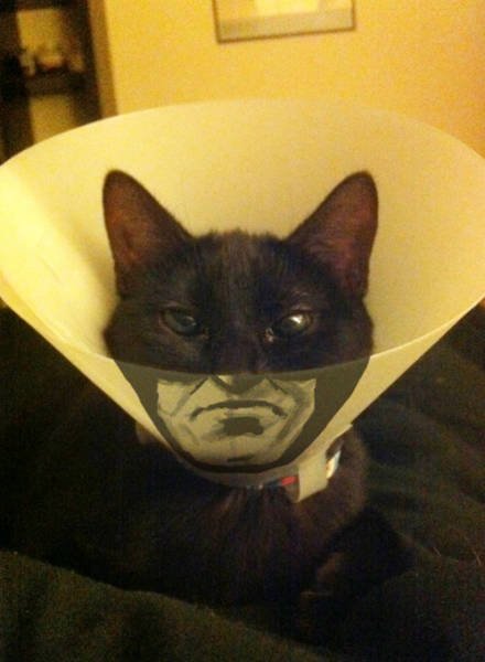 Bildschirmarbeiter - Picdump 24.07.2015