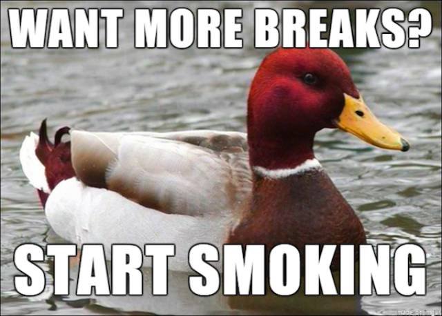 Bildschirmarbeiter - Picdump 24.07.2015