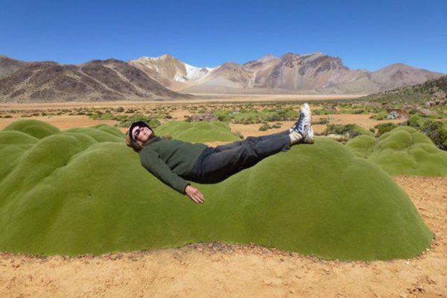 Bildschirmarbeiter - Picdump 24.07.2015