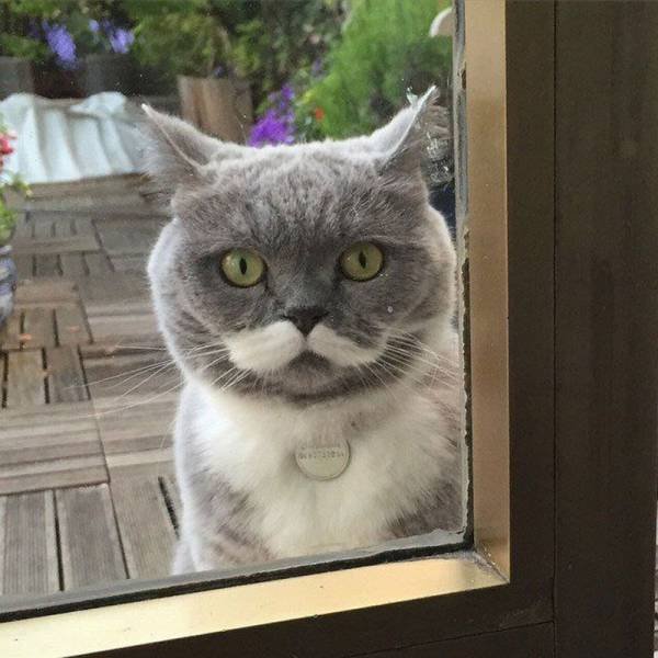 Bildschirmarbeiter - Picdump 31.07.2015