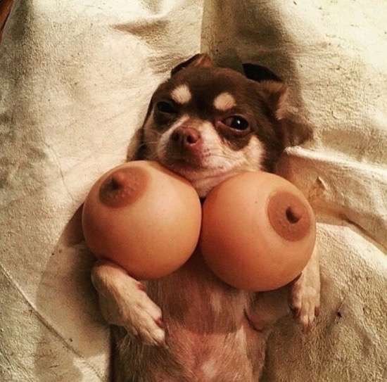 Bildschirmarbeiter - Picdump 31.07.2015