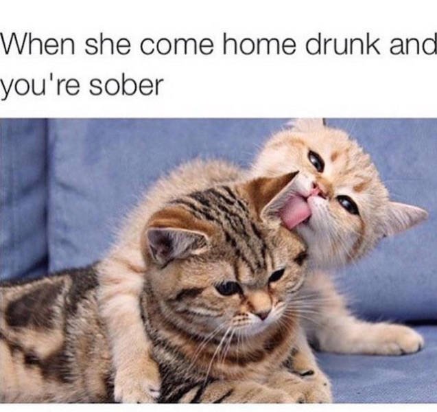 Bildschirmarbeiter - Picdump 07.08.2015