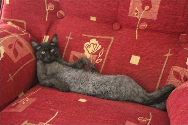 Bildschirmarbeiter - Picdump 07.08.2015