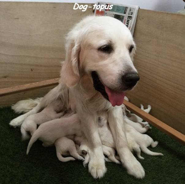 Bildschirmarbeiter - Picdump 07.08.2015