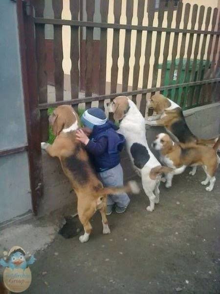 Bildschirmarbeiter - Picdump 07.08.2015