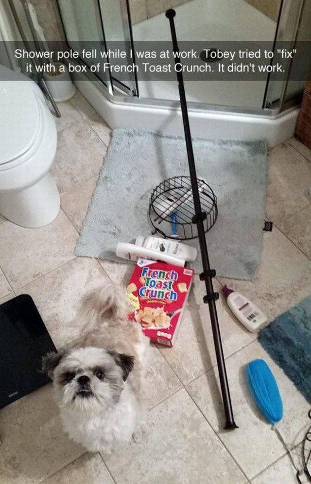 Bildschirmarbeiter - Picdump 07.08.2015