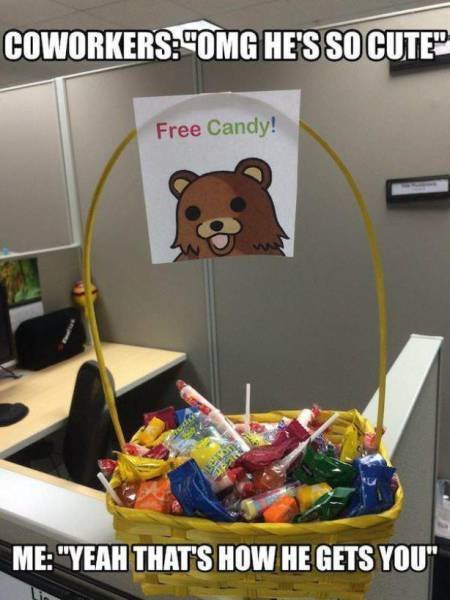 Bildschirmarbeiter - Picdump 07.08.2015