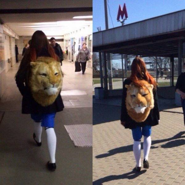 Bildschirmarbeiter - Picdump 07.08.2015