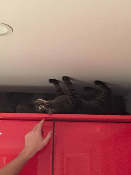 Bildschirmarbeiter - Picdump 07.08.2015