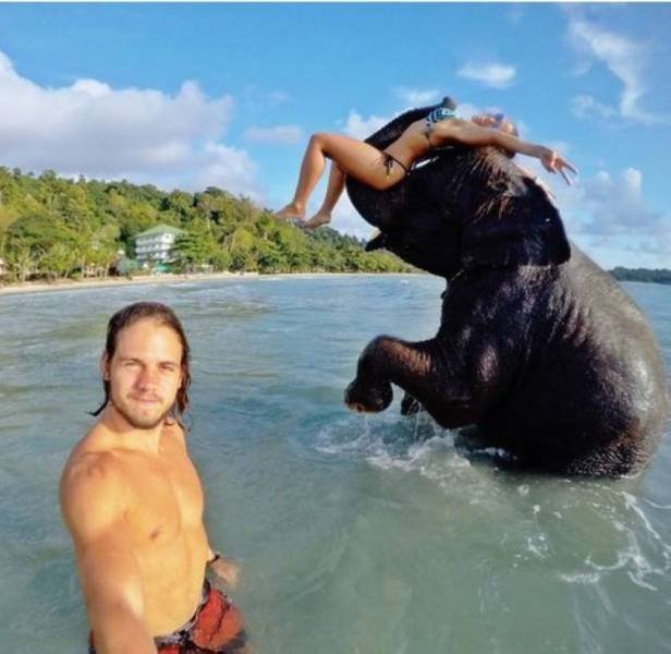 Bildschirmarbeiter - Picdump 07.08.2015