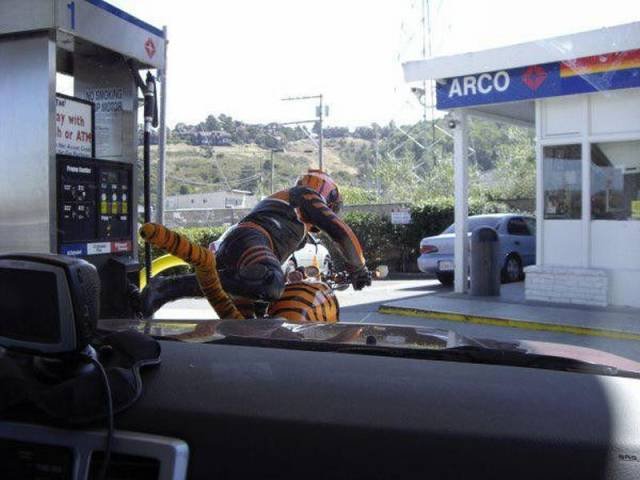 Bildschirmarbeiter - Picdump 07.08.2015