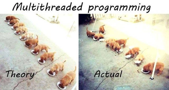 Bildschirmarbeiter - Picdump 07.08.2015