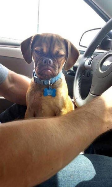 Bildschirmarbeiter - Picdump 07.08.2015