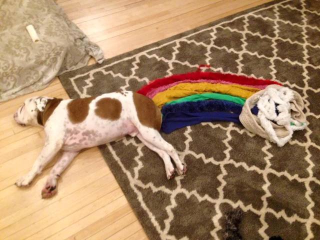 Bildschirmarbeiter - Picdump 07.08.2015