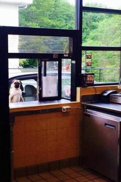 Bildschirmarbeiter - Picdump 07.08.2015