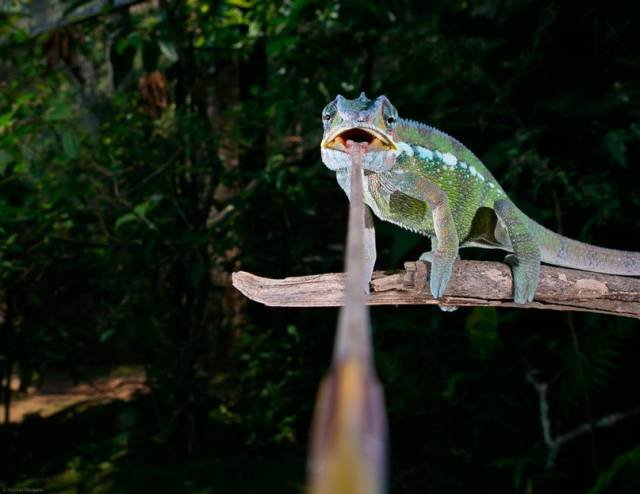 Bildschirmarbeiter - Picdump 07.08.2015