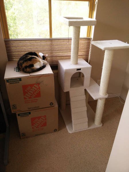 Bildschirmarbeiter - Picdump 07.08.2015