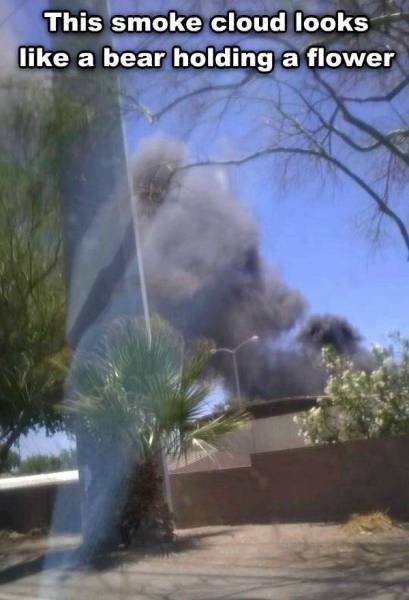 Bildschirmarbeiter - Picdump 07.08.2015