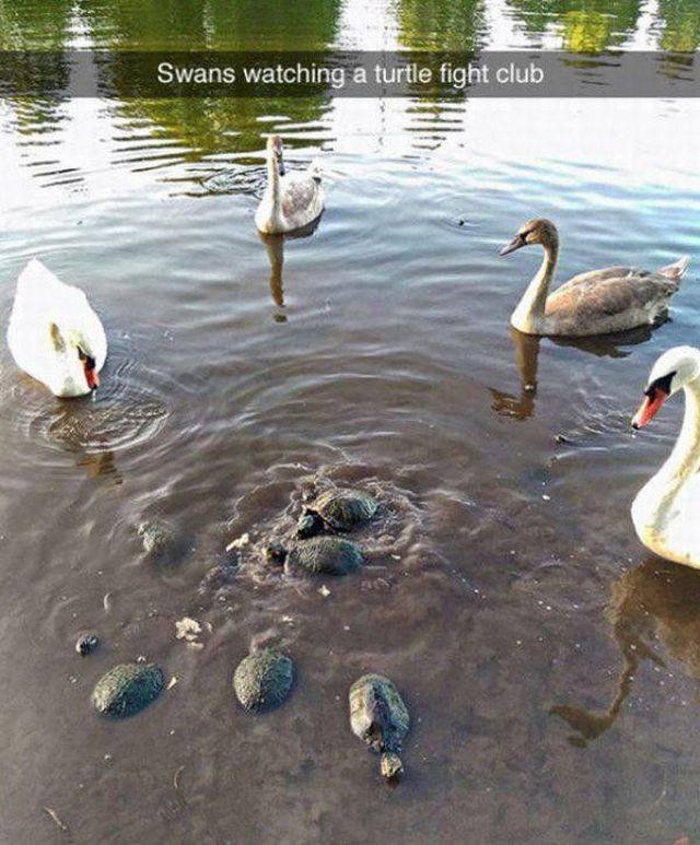 Bildschirmarbeiter - Picdump 14.08.2015