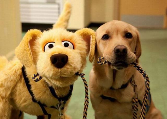 Bildschirmarbeiter - Picdump 14.08.2015