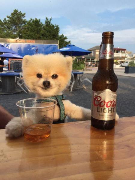 Bildschirmarbeiter - Picdump 14.08.2015