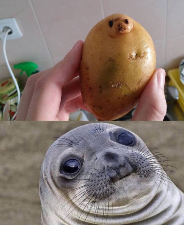 Bildschirmarbeiter - Picdump 14.08.2015