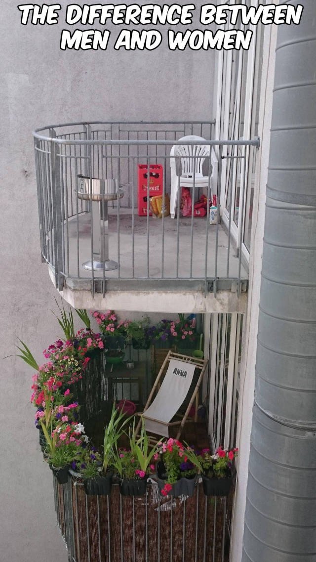 Bildschirmarbeiter - Picdump 14.08.2015