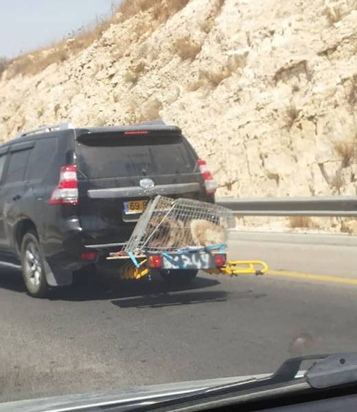 Bildschirmarbeiter - Picdump 14.08.2015