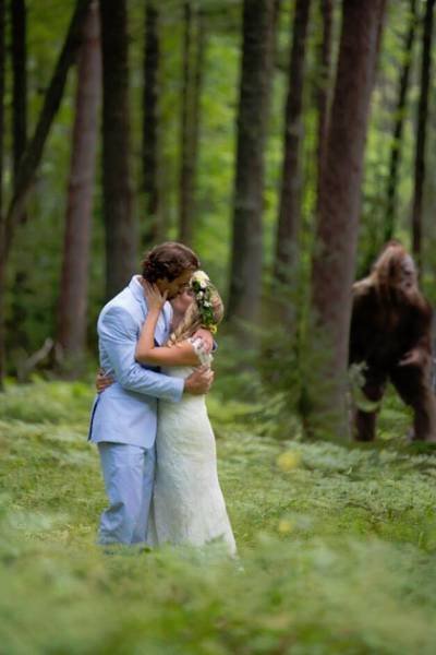 Bildschirmarbeiter - Picdump 14.08.2015