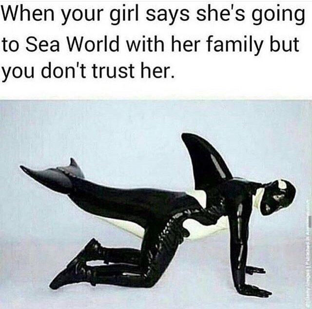 Bildschirmarbeiter - Picdump 21.08.2015