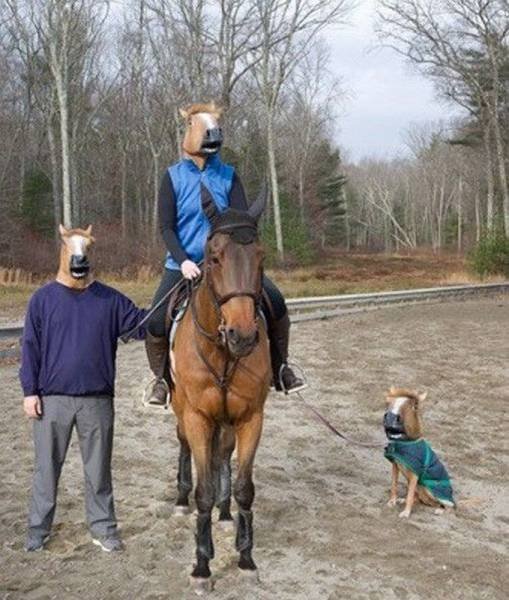 Bildschirmarbeiter - Picdump 21.08.2015