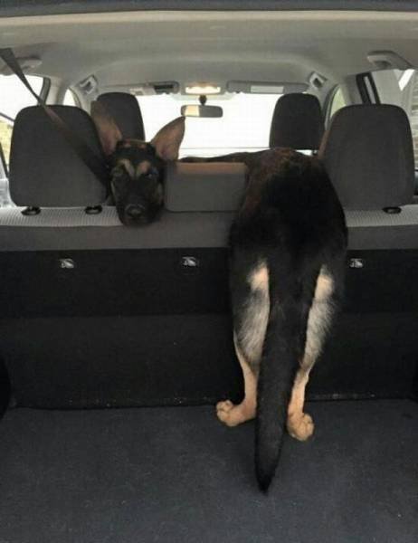 Bildschirmarbeiter - Picdump 21.08.2015