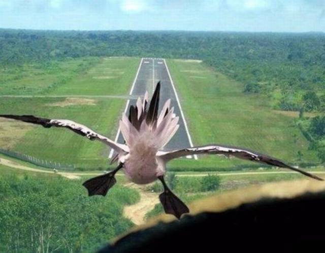 Bildschirmarbeiter - Picdump 21.08.2015