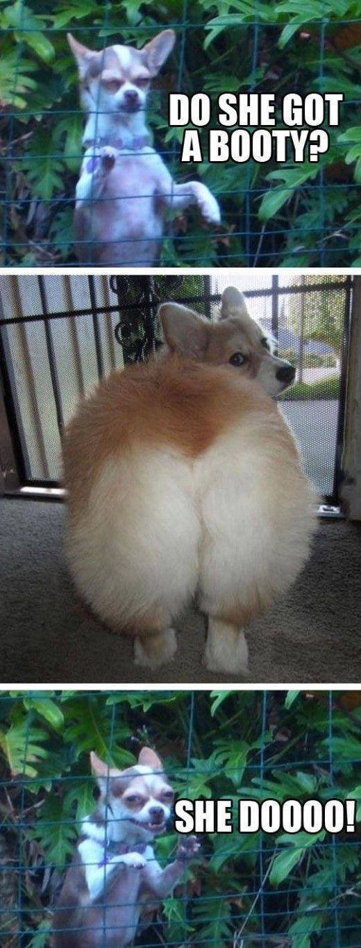 Bildschirmarbeiter - Picdump 21.08.2015