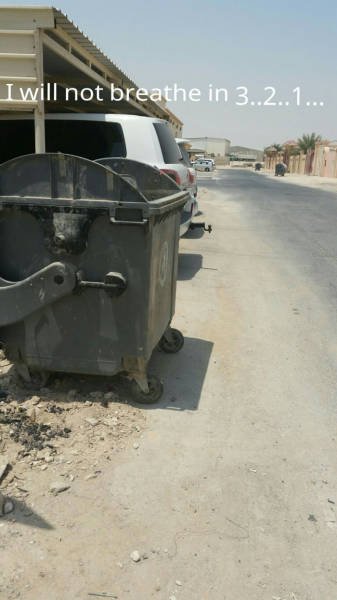 Bildschirmarbeiter - Picdump 21.08.2015