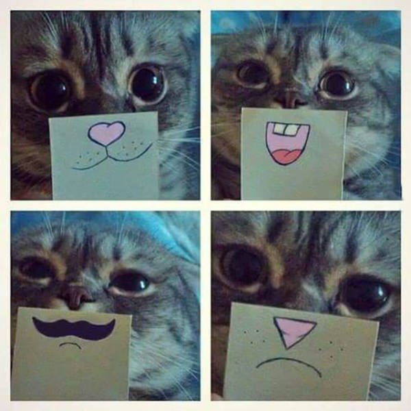 Bildschirmarbeiter - Picdump 21.08.2015