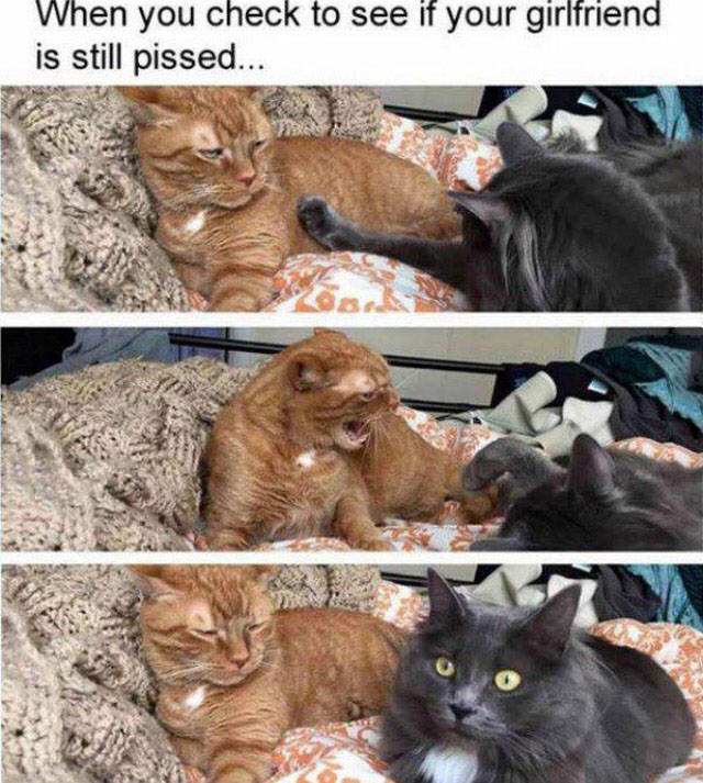 Bildschirmarbeiter - Picdump 21.08.2015