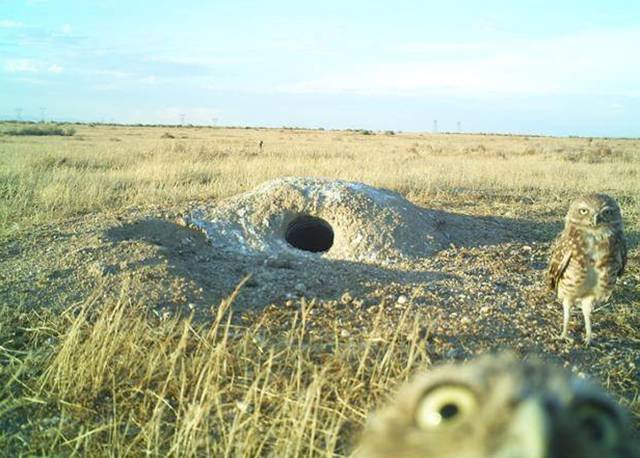 Bildschirmarbeiter - Picdump 21.08.2015