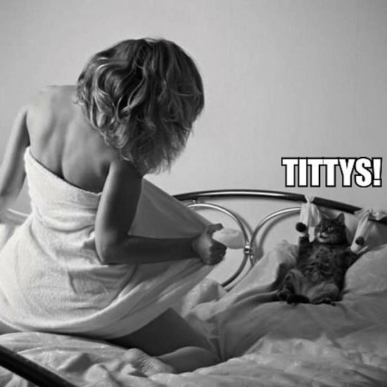 Bildschirmarbeiter - Picdump 28.08.2015