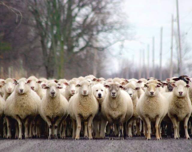 Bildschirmarbeiter - Picdump 28.08.2015