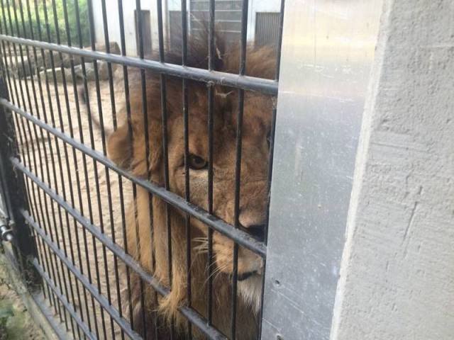 Bildschirmarbeiter - Picdump 28.08.2015